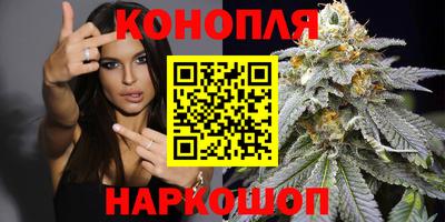 МДПВ Гусев