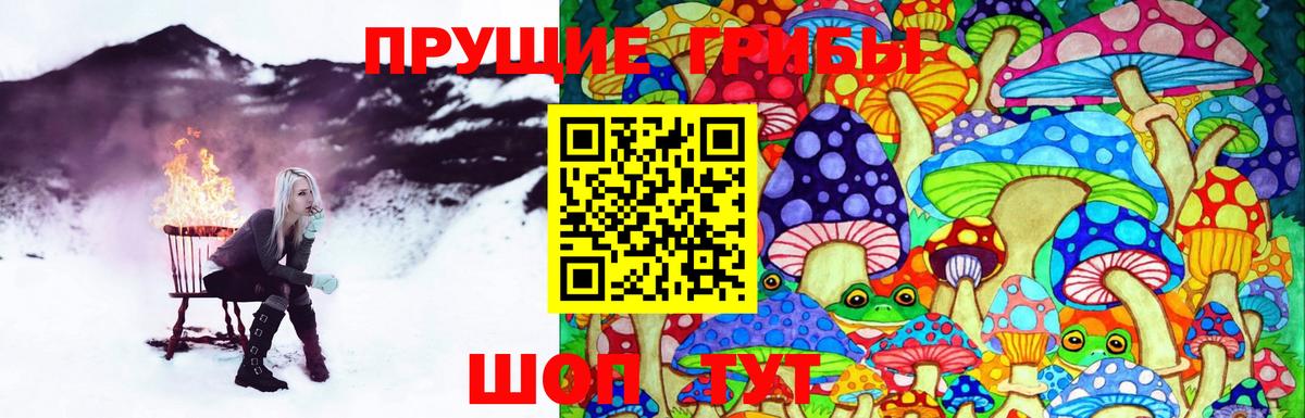 Беслан  Псилоцибиновые грибы мухоморы  Вход с VPN 
